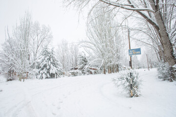 Naklejka premium Mendoza 2022, invierno, paisajes, nieve, argentina, mendoza 