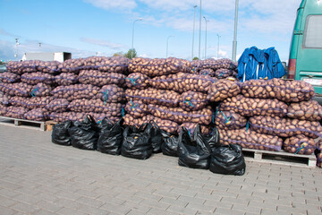 Lots of potatoes in mesh bags on pallets for sale at a farmer's market. Wholesale of potatoes.