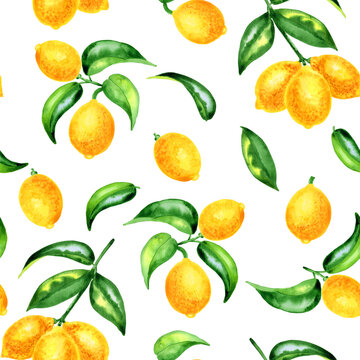 Lemons on branches watercolor seamless pattern. Citrus yellow fruits endless background for wallpaper and textile. Hand drawn tropical tree illustration.