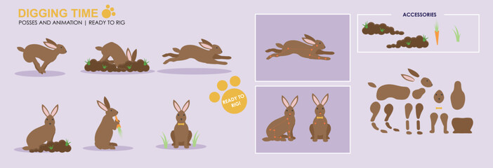 Cute brown rabbit, bunny digging with accessories ready for animation vector, collection of multiple poses and positions. Bunny digging

