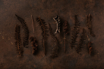 dark moody faded autumn leaf background, brown fall plants decay