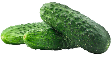 Green fresh ripe cucumbers vegetable collection