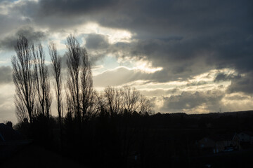 
Silhouettes of poplar trees against the light with a very dark stormy sky and large black clouds 