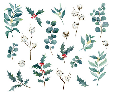 Watercolor botanical collection of single traditional floral elements for winter, holidays, Christmas and New Year design, hand drawn cut out  PNG on transperent background.