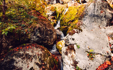Autumn hiking in Austrian nature in Myrafalle waterfalls