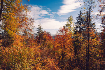 Fototapeta premium Autumn hiking in Austrian nature in Myrafalle waterfalls