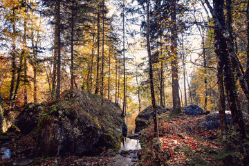 Autumn hiking in Austrian nature in Myrafalle waterfalls