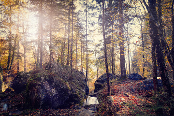 Autumn hiking in Austrian nature in Myrafalle waterfalls