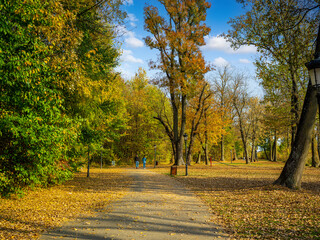 Obraz premium autumn in the park