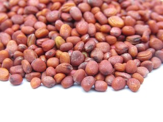 White radish seeds on white background 