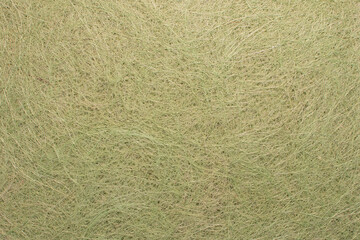 Fils de sisal non tissés de couleur vert clair pour fonds et arrière-plan.	