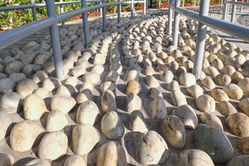 Reflexology cobblestones pathway for foot massage. Convexly rounded white pebble stones for system of massage to relieve tension and treat illness. Boulders walkway for reflex points on feet.