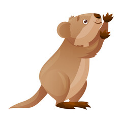 Funny Quokka as Short-tailed Scrub Wallaby with Rounded Ears Vector Illustration