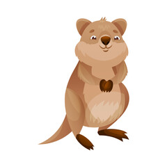 Funny Quokka as Short-tailed Scrub Wallaby with Rounded Ears Standing on Hind Legs and Smiling Vector Illustration