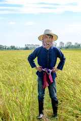Naklejka na ściany i meble Thai male farmer in traditional dress and headdress standing in the middle of the rice field