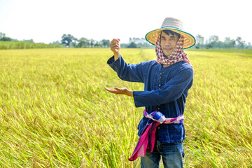 Naklejka na ściany i meble Thai male farmer in traditional dress and headdress standing pose holding goods smiling in the middle of the field
