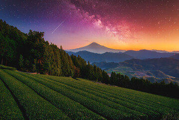 Landscape with Milky way galaxy. Mt. Fuji over green tea field with autumn foliage and milky way at...