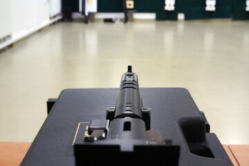 A look into the sights of a sporting flintlock. Road environment.