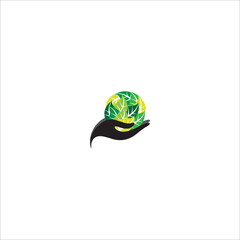 green leaf with water drop