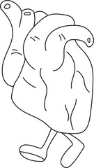 heart and brain