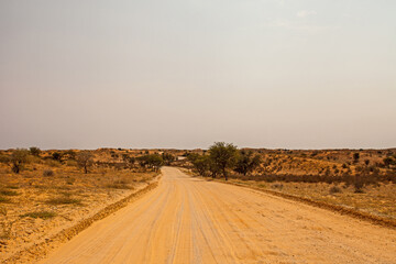 Kalahari desert road 5008