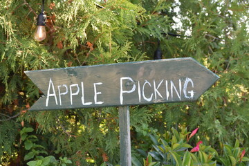 Apple picking sign in orchard. Favorite family activity in the fall