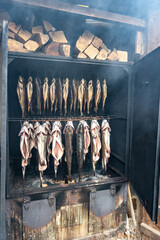 Smoking Rainbow trout fish in a smoker.Trout hanging in wire hooks from rack.