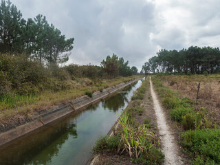 Fototapeta na wymiar Footpath of hiking trail Rota Vicentina along water irrigation canal. Pine trees and green bushes