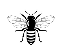 Bee silhouette on white background.