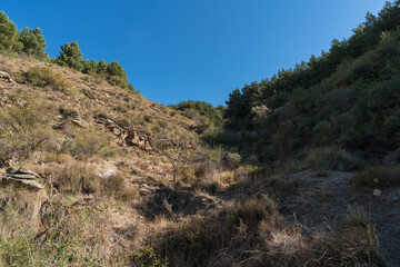 Fototapeta na wymiar Sierra Nevada mountain in southern Spain