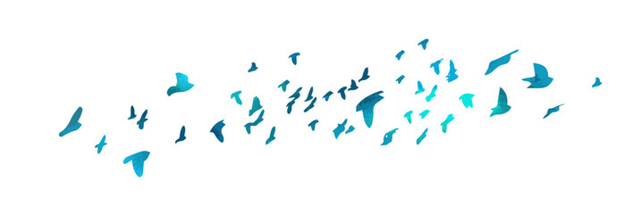 Naklejka premium Bird watercolor. A flock of colorful birds. Mixed media. Vector illustration