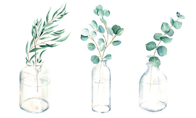Eucalyptus branches in vases, jars, bottles. Watercolor hand drawn botanical illustration isolated on white background. Eco minimalistic style for greeting cards, posters, floristic design.