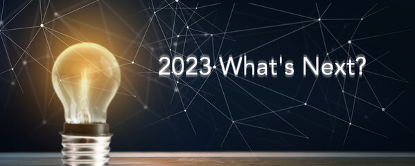 Lettering 2023 what's next? Light bulb and net.