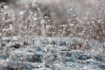 Keuken spatwand met foto Frozen meadow © Galyna Andrushko