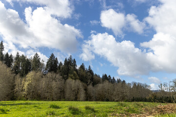 landscape in the mountains