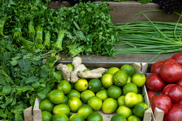 green vegetables, lime. onions, mint, ginger and parsley