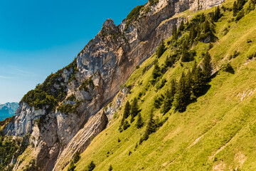 Beautiful alpine summer view at the famous Staubern mountains, Fruemsen, Sennwald, Saint Gallen, Appenzell, Switzerland