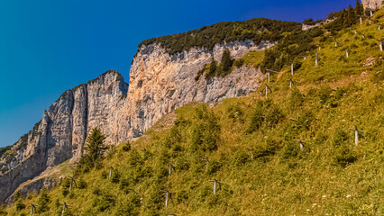Obraz premium Beautiful alpine summer view at the famous Staubern mountains, Fruemsen, Sennwald, Saint Gallen, Appenzell, Switzerland