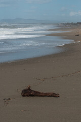 Sandstrand in Bibbona di mare in der Toskana in Italien im Herbst