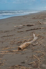 Sandstrand in Bibbona di mare in der Toskana in Italien im Herbst