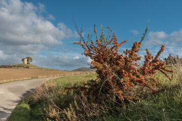 Landschaft bei Cecina in der Toskana im Herbst