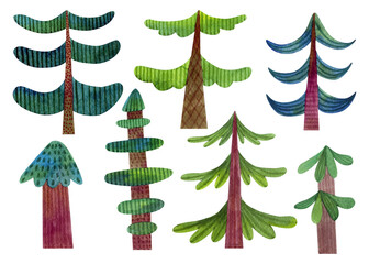 Hand drawn different spruces. Childish style watercolor illustration.