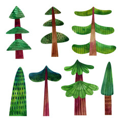 Childish style watercolor illustration. Hand drawn different spruces. 