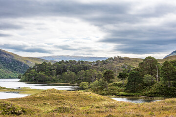 Fototapeta na wymiar Loch Clair in Schottland