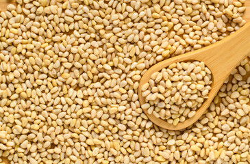 Lots of raw pine nuts and a wooden spoon. View from above.