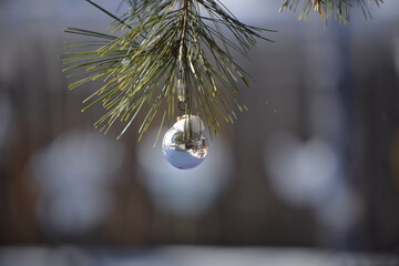 silver ornament hanging in pine tree with snow and bokeh
