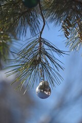 silver ornament hanging in pine tree with snow and blue sky