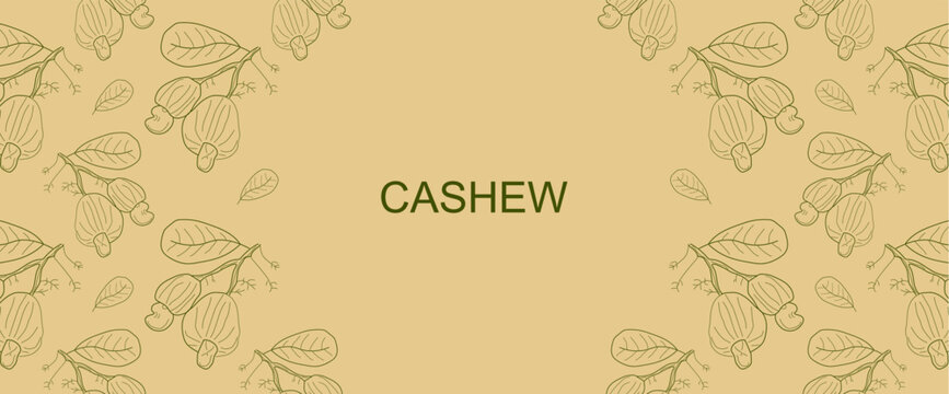Vector frame with Cashew and leaves. Nut vector seamless pattern. Hand drawn sketch cashew design template. Organic food vector illustration. eps10