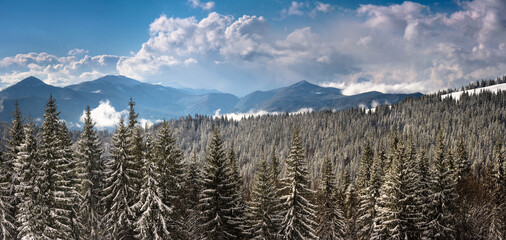 Panoramic landscape of the snow-capped mountain peaks on a sunny winter day. Carpathian mountains range. Europe.