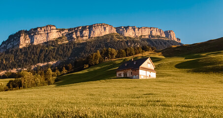 Beautiful alpine summer evening view near Bruelisau, Appenzell, Switzerland